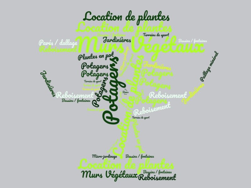 wordcloud (1)