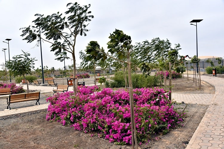 Jardin senegal